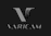 Panasonic Varicam